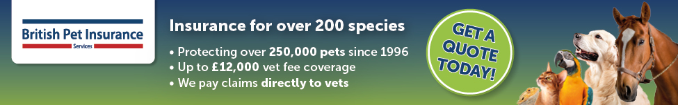 Pet Insurance for your pet